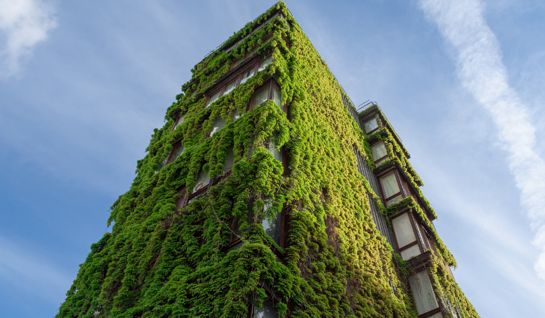 Why is a Green Building So Important?