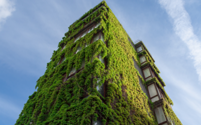 Why is a Green Building So Important?