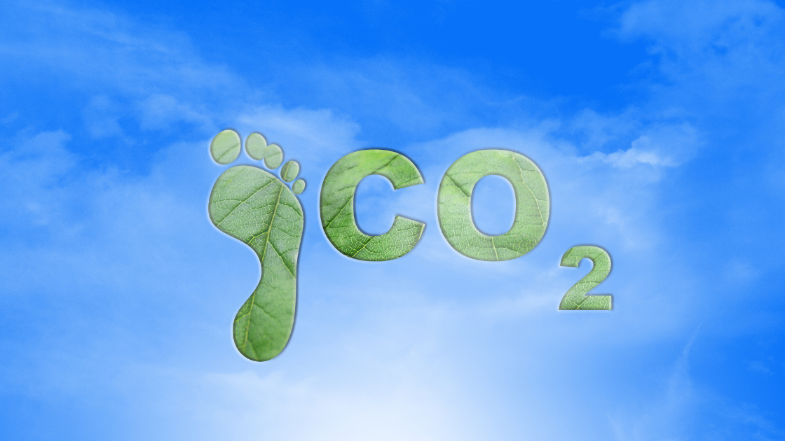 how to reduce your carbon footprint